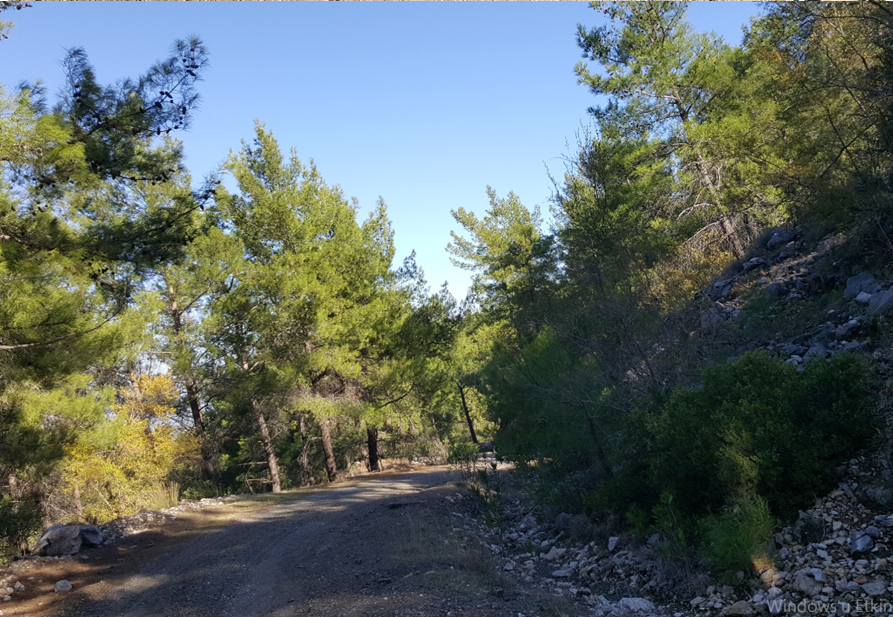 Yeşilçam Yürüyüş Yolu