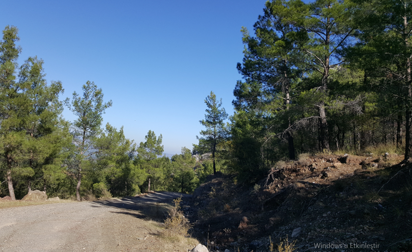 Yeşilçam Yürüyüş Yolu