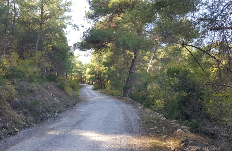 Yeşilçam Yürüyüş Yolu