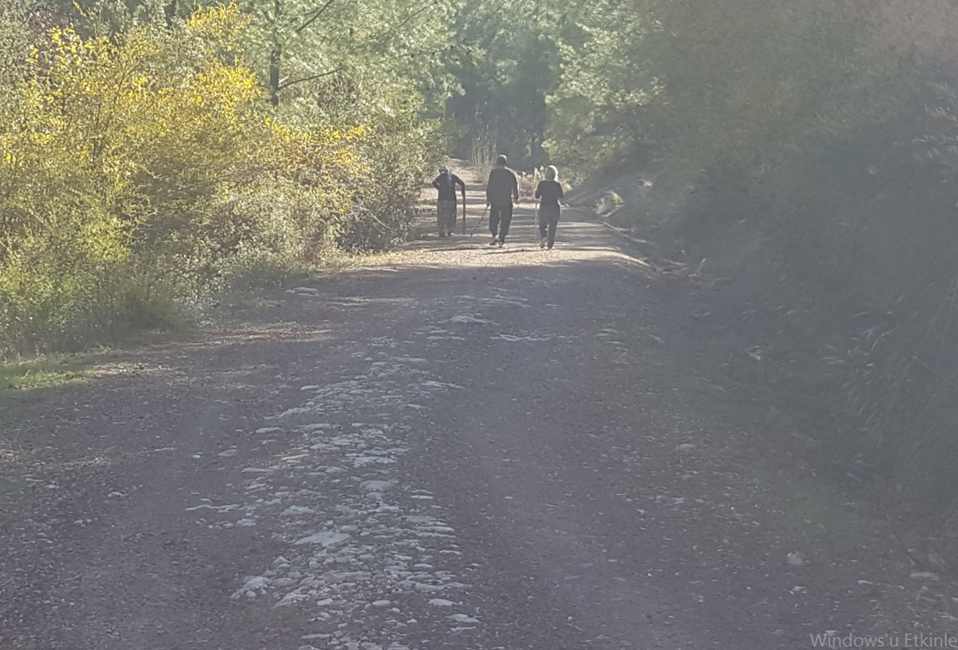 Yeşilçam Yürüyüş Yolu
