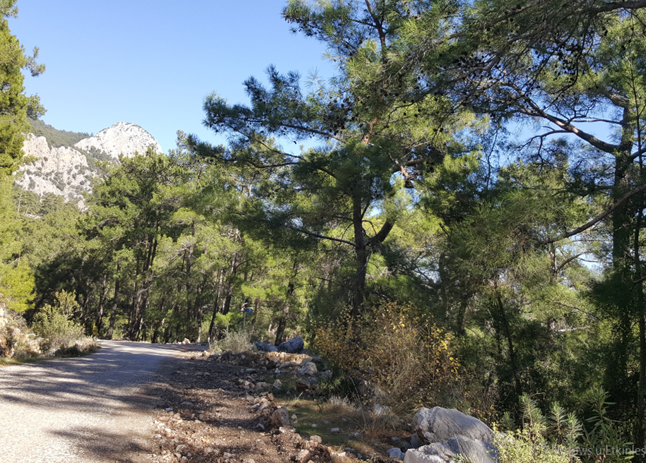 Yeşilçam Yürüyüş Yolu
