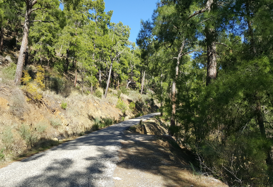 Yeşilçam Yürüyüş Yolu