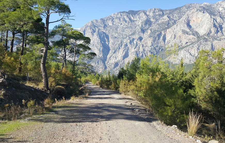 Yeşilçam Yürüyüş Yolu